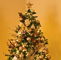 Árvore de Natal