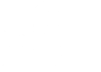 Blog Havan
