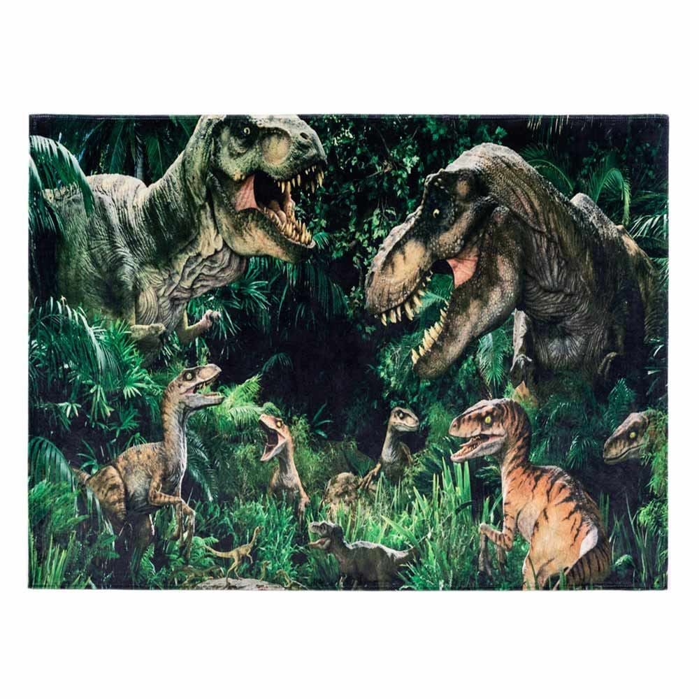 Erosebridal Jogo americano Dino para meninos, tapetes de dinossauro para  meninas 30,5 x 45,7 cm, conjunto de 4, conjunto de tapetes de mesa de dinossauros  antigos, tapetes de refeição de animais da